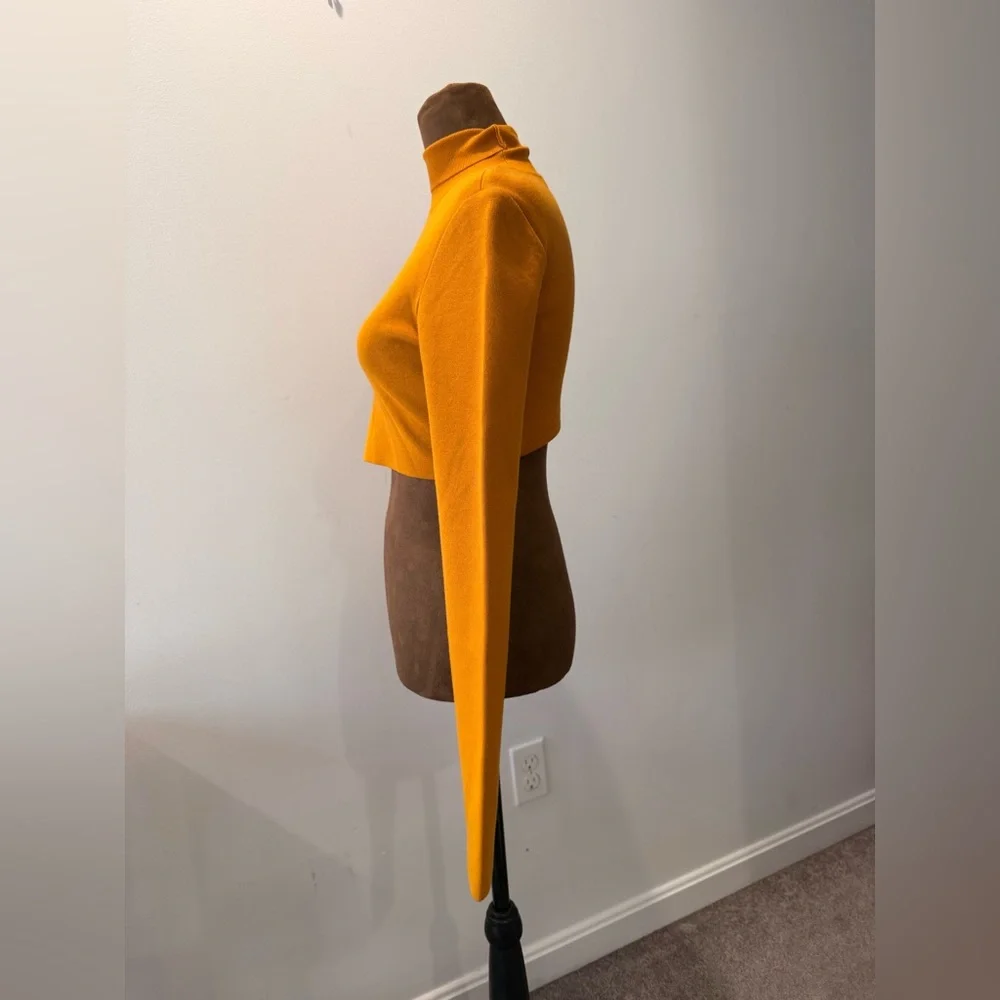 Zeynep Arcay Long Sleeve Turtleneck. Size 4 - Picture 2 of 11